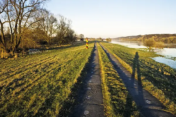 387032 - Dike at Oder River, Lower Oder Valley National Park, Germany