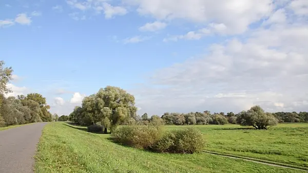 501018 - Dike bordering flood meadows, Lower Oder Valley National Park, Germany