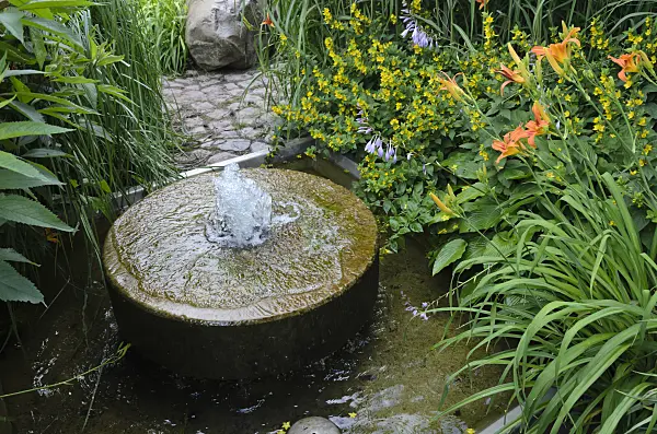 534188 - Dotted loosestrife (Lysimachia punctata) and day lilies (Hemerocallis) with fountain made of an old millstone