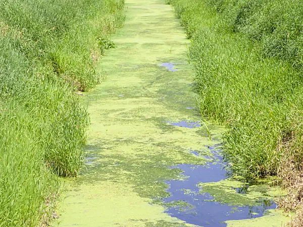 474281 - Drainage channel