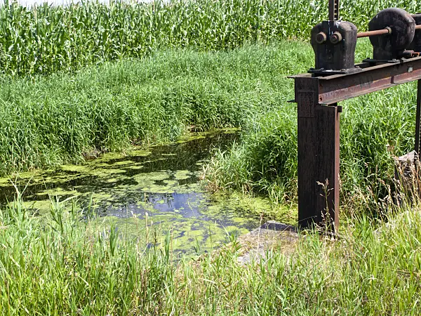 474279 - Drainage channel with weir