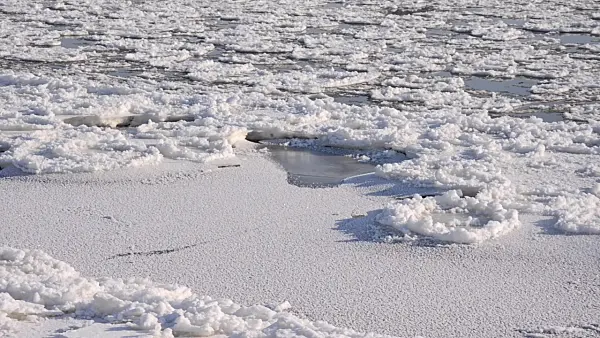 505026 - Drifting ice on Elbe River, Flusslandschaft Elbe Biosphere Reserve, Germany