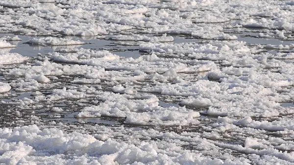 505027 - Drifting ice on Elbe River, Flusslandschaft Elbe Biosphere Reserve, Germany