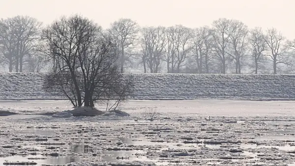 505029 - Drifting ice on Elbe River, Flusslandschaft Elbe Biosphere Reserve, Germany