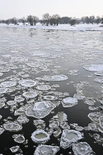 505045 - Drifting ice on Elbe River, Flusslandschaft Elbe Biosphere Reserve, Germany