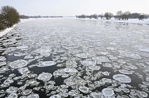 505046 - Drifting ice on Elbe River, Flusslandschaft Elbe Biosphere Reserve, Germany