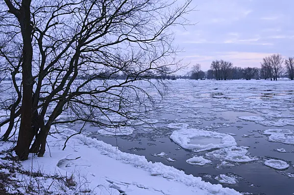 505049 - Drifting ice on Elbe River, Flusslandschaft Elbe Biosphere Reserve, Germany