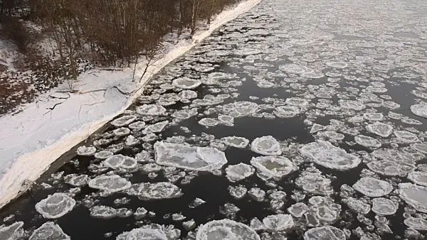 505050 - Drifting ice on Elbe River, Flusslandschaft Elbe Biosphere Reserve, Germany