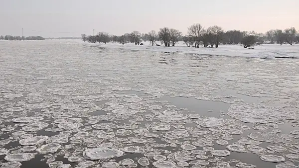 505051 - Drifting ice on Elbe River, Flusslandschaft Elbe Biosphere Reserve, Germany