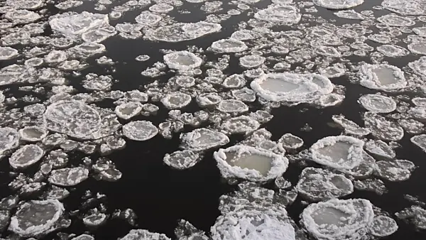 505052 - Drifting ice on Elbe River, Flusslandschaft Elbe Biosphere Reserve, Germany