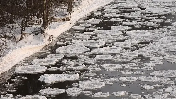 505053 - Drifting ice on Elbe River, Flusslandschaft Elbe Biosphere Reserve, Germany