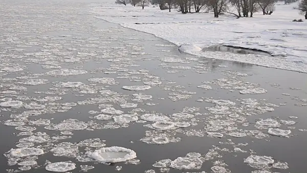 505055 - Drifting ice on Elbe River, Flusslandschaft Elbe Biosphere Reserve, Germany