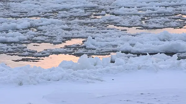 505058 - Drifting ice on Elbe River, Flusslandschaft Elbe Biosphere Reserve, Germany
