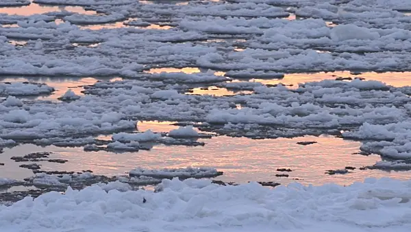 505059 - Drifting ice on Elbe River, Flusslandschaft Elbe Biosphere Reserve, Germany