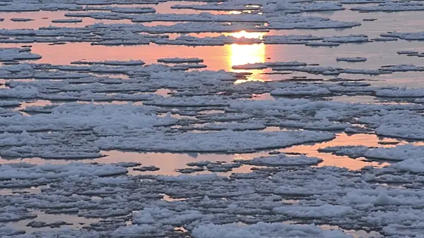 505060 - Drifting ice on Elbe River, Flusslandschaft Elbe Biosphere Reserve, Germany