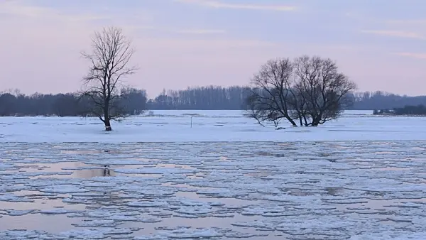 505061 - Drifting ice on Elbe River, Flusslandschaft Elbe Biosphere Reserve, Germany