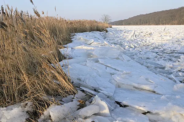 529026 - Drifting ice on Oder River, Lower Oder Valley National Park, Germany