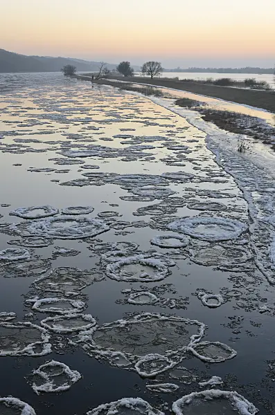 565011 - Drifting ice on Oder River, Lower Oder Valley National Park, Germany