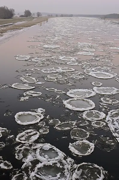 565013 - Drifting ice on Oder River, Lower Oder Valley National Park, Germany