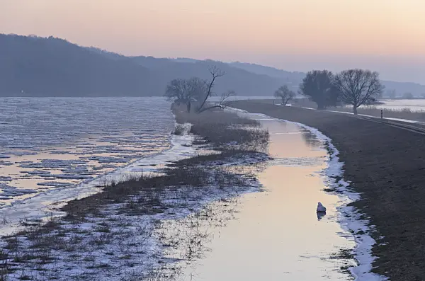 565014 - Drifting ice on Oder River, Lower Oder Valley National Park, Germany