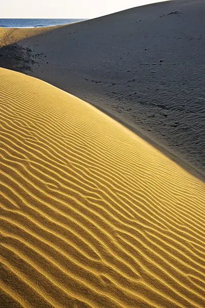 397046 - Dunes mouvantes, Maspalomas, Gran Canaria, Espagne