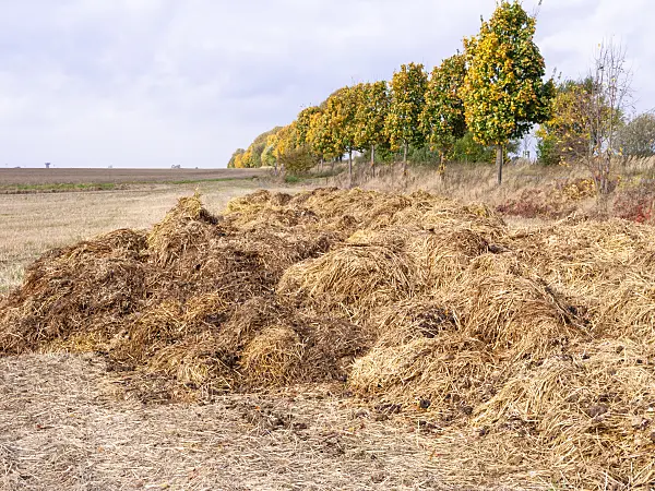 525234 - Dung heap on a field, Brandenburg, Germany