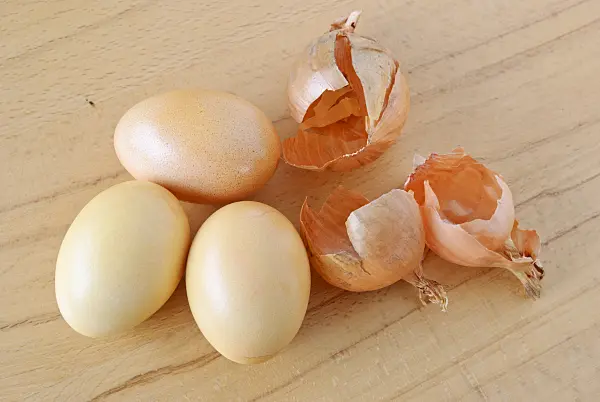 479062 - Easter eggs coloured with onion skins