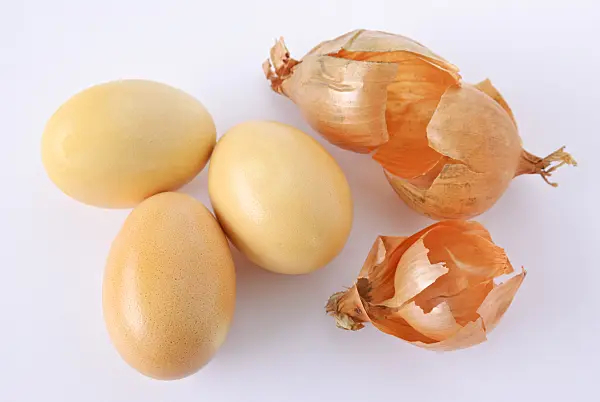 479064 - Easter eggs coloured with onion skins