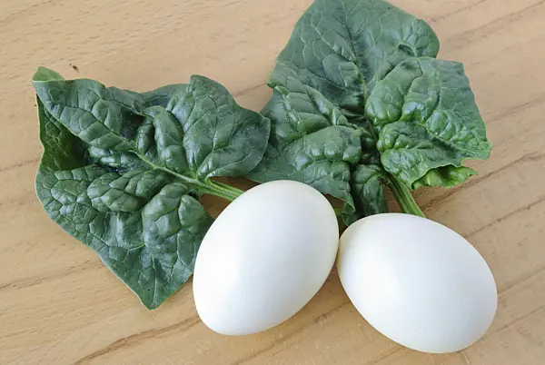 479063 - Easter eggs coloured with spinach