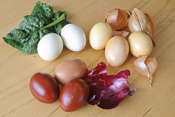 479060 - Easter eggs coloured with spinach and onion skins