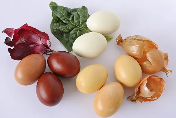 479065 - Easter eggs coloured with spinach and onion skins