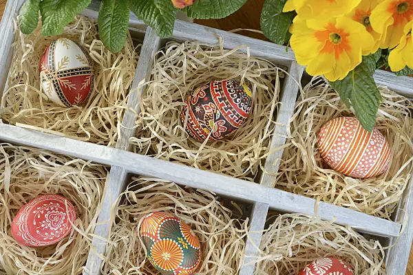 554031 - Easter eggs with primrose (Primula)