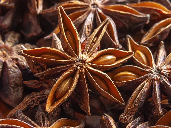 436003 - Echter Sternanis (Illicium verum)
