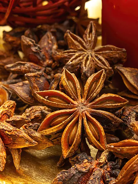 444045 - Echter Sternanis (Illicium verum)