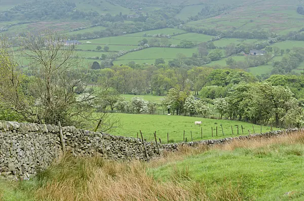 533506 - Edale Valley, Nationalpark Peak District, Großbritannien