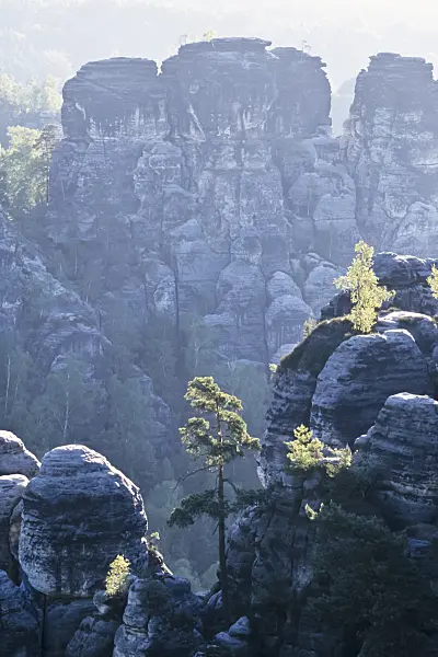 365071 - Elbe Sandstone Mountains, Saxon Switzerland National Park, Germany