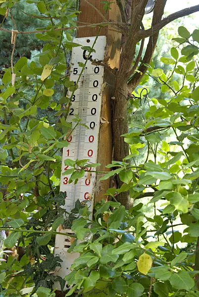 463078 - Enamelled outdoor thermometer on an entwined wooden pole in the garden
