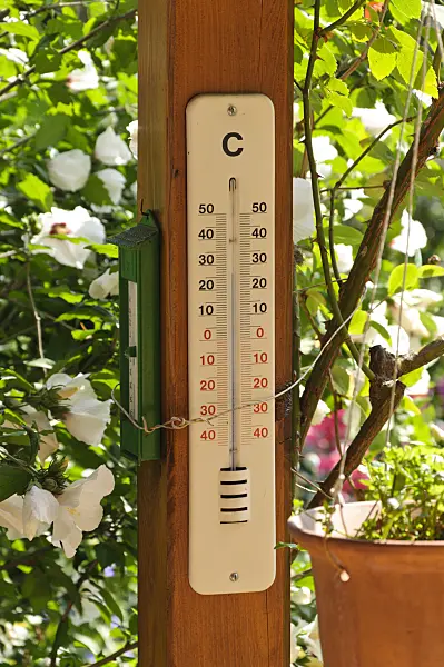 474348 - Enamelled outdoor thermometer on an entwined wooden pole in the garden
