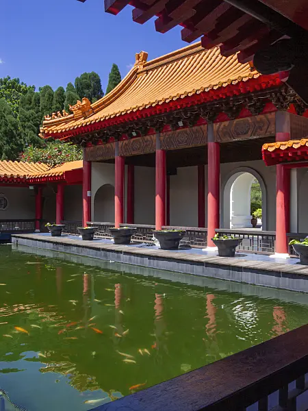 411038 - Étang de koï, jardin chinois, Singapour