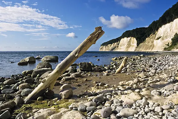 391096 - Falaises de craie, parc national de Jasmund, Rügen, Allemagne