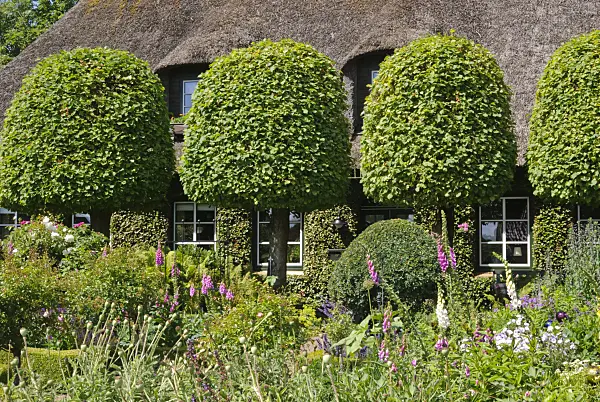 500203 - Farm garden with farm house