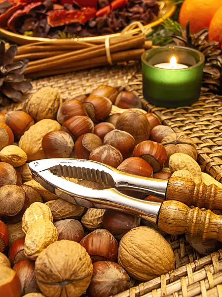 444062 - Filbert (Corylus maxima), English walnut (Juglans regia) and peanut (Arachis hypogaea) with nutcracker
