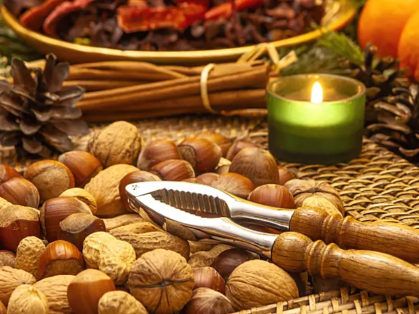 444063 - Filbert (Corylus maxima), English walnut (Juglans regia) and peanut (Arachis hypogaea) with nutcracker