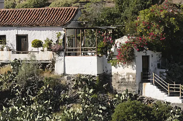 564081 - Finca with Bougainvillea and prickly pears (Opuntia), Gran Canaria, Spain
