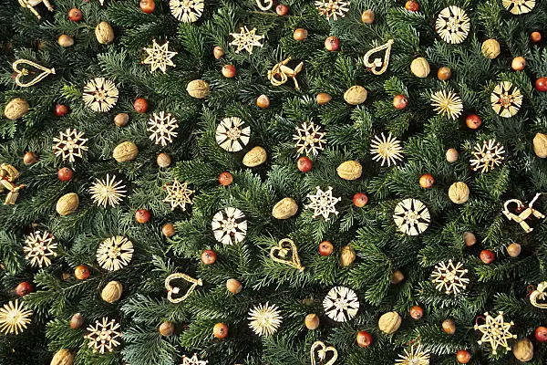 433235 - Fir branches with straw stars