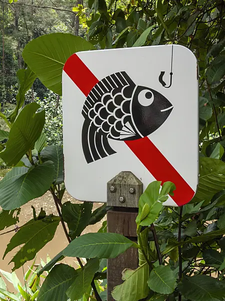 411072 - Fishing forbidden, Kent Ridge Park, Singapore