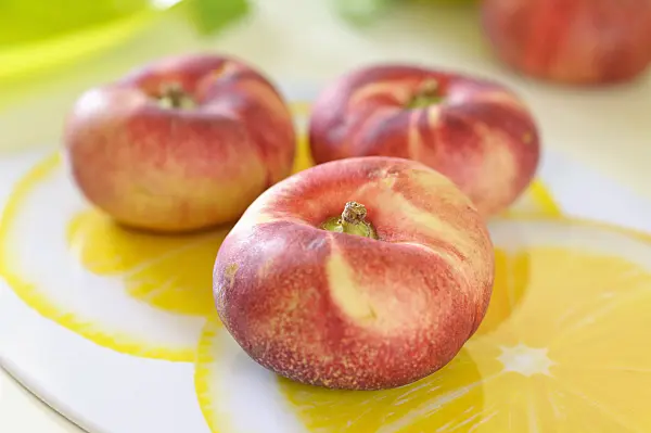 487114 - Flat nectarine platerina (Prunus persica var. platerina)