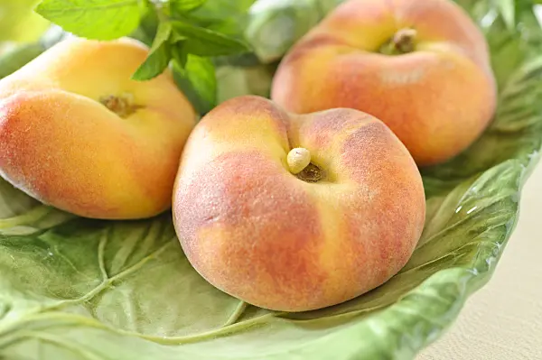486103 - Flat peach (Prunus persica var. platycarpa)