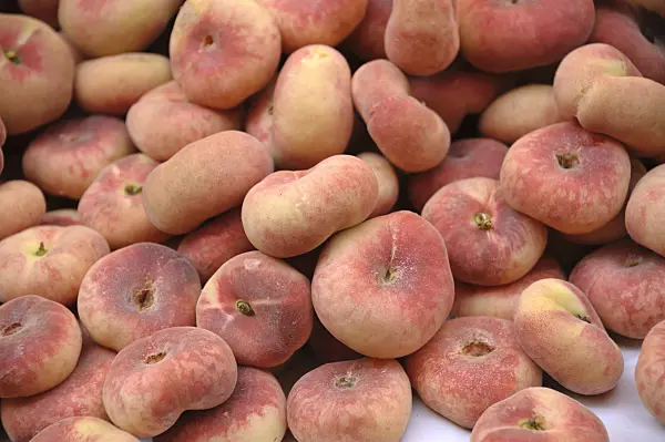 517358 - Flat peach (Prunus persica var. platycarpa 'Saturne')