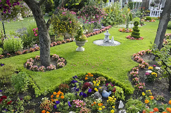 534285 - Fleurs d'été dans un jardin familial